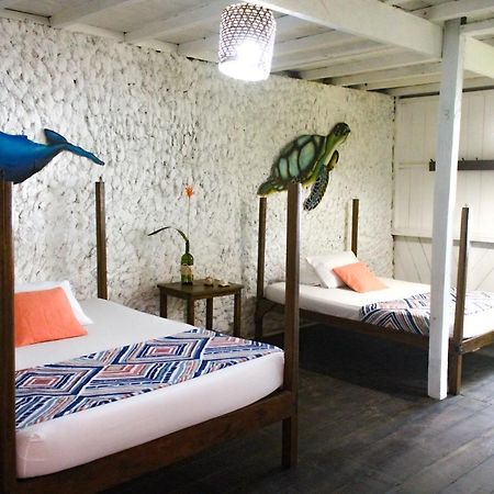 巴亚索拉诺 Refugio Mr Jerry Eco House酒店 外观 照片